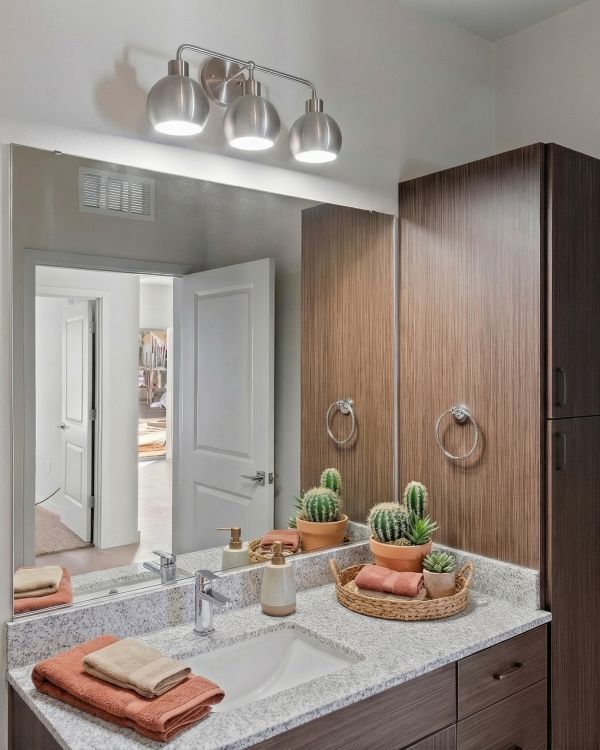 Modern bathroom with a large mirror, sink, towels, potted cacti, and wooden cabinets.