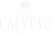 Faint text logo with a small palm tree graphic centered above the word "CALYPSO.