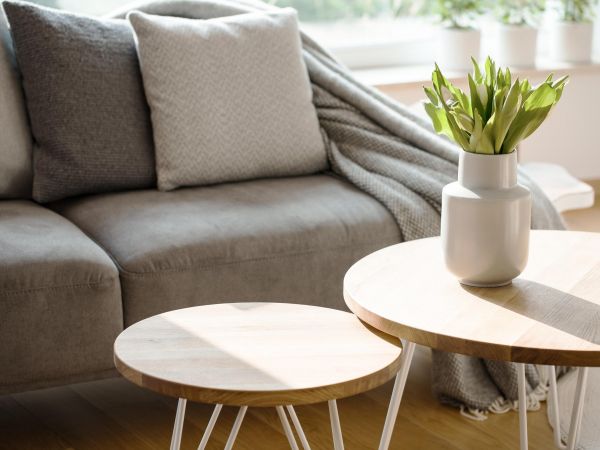 Cozy living room with a grey sofa, cushions, blanket, and two wooden tables, one with a vase of green tulips.
