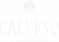 Faint text logo with a small palm tree graphic centered above the word "CALYPSO.